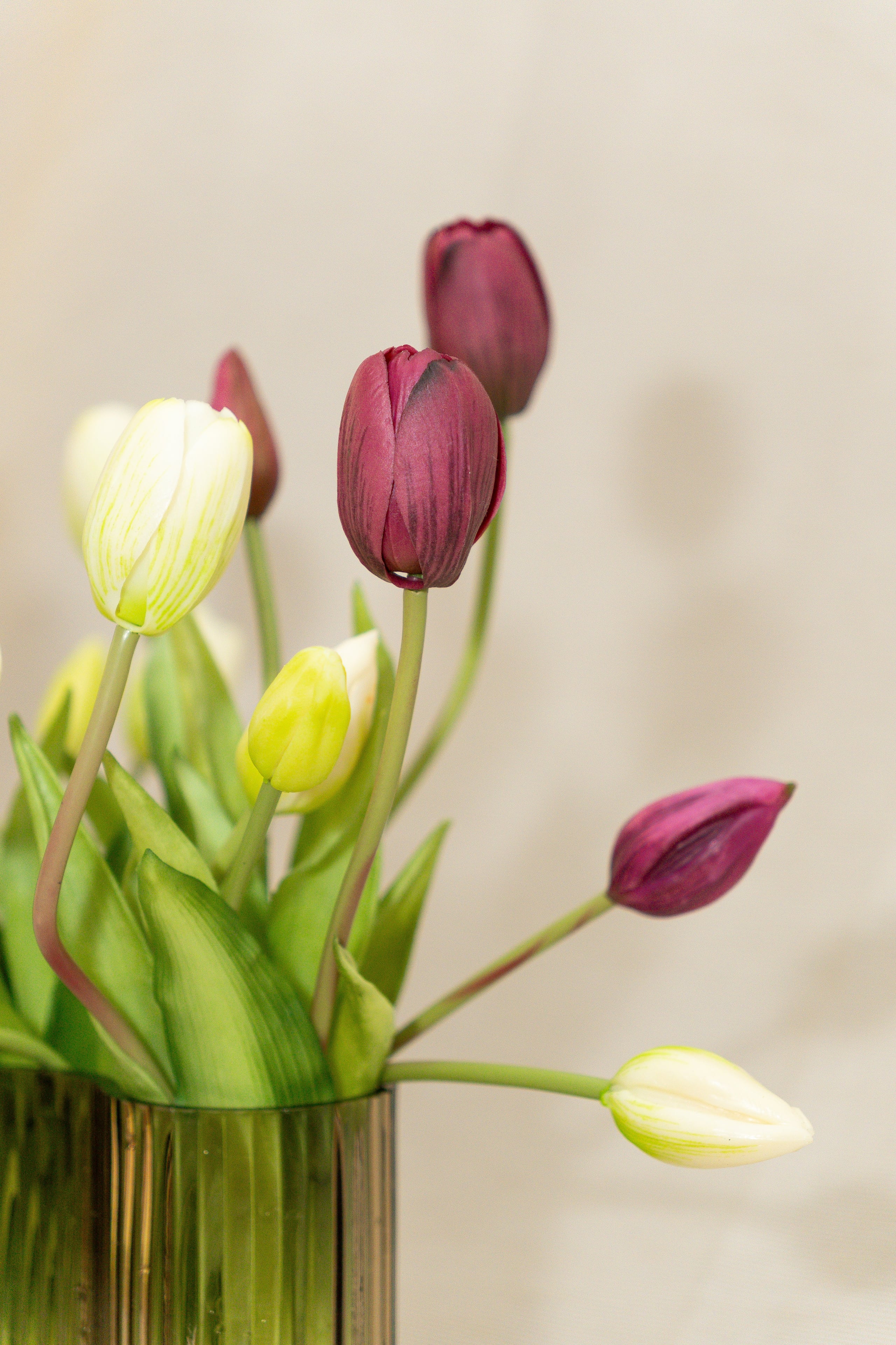 Bouquet de tulipes | Élégance
