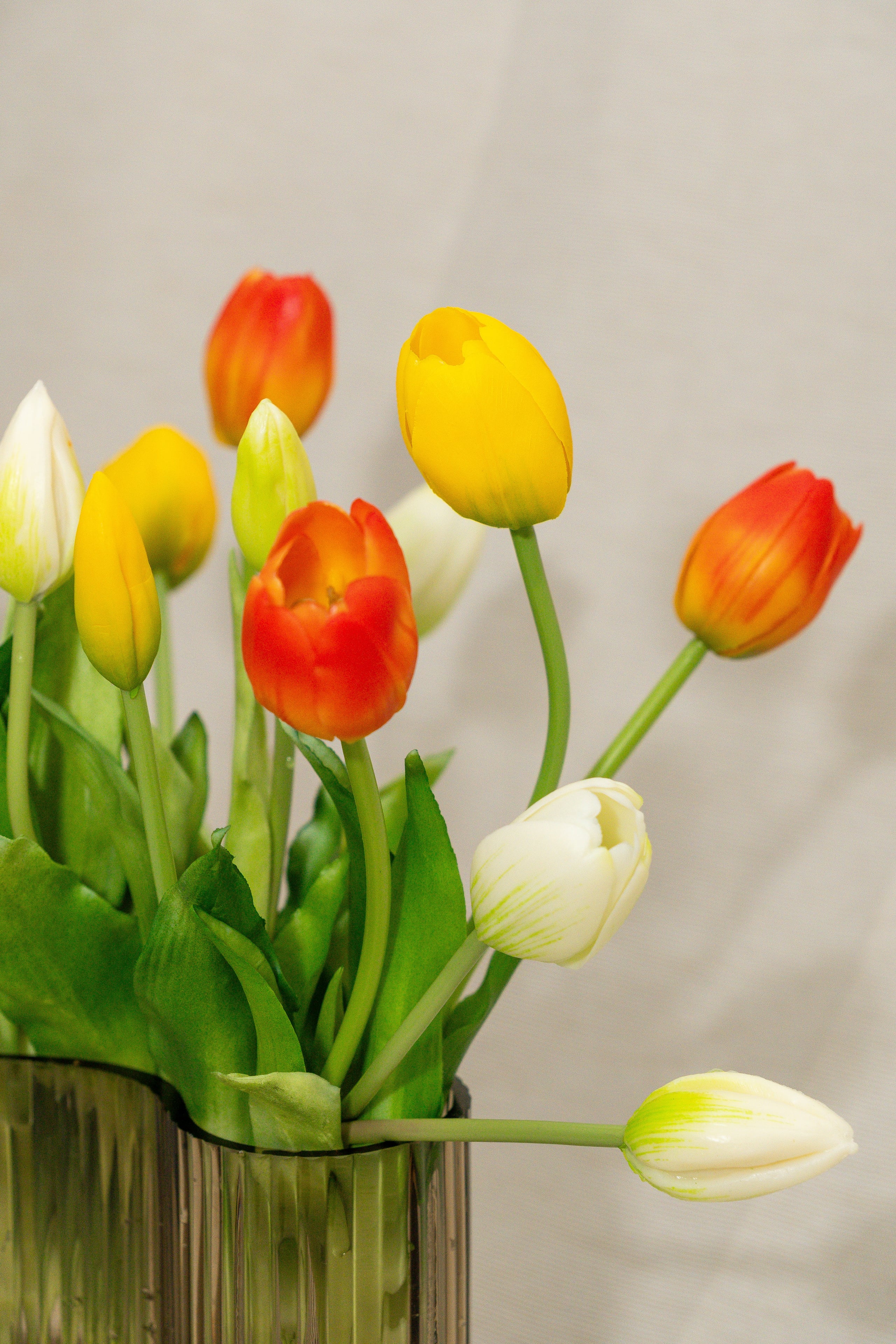 Bouquet de tulipes | Joie