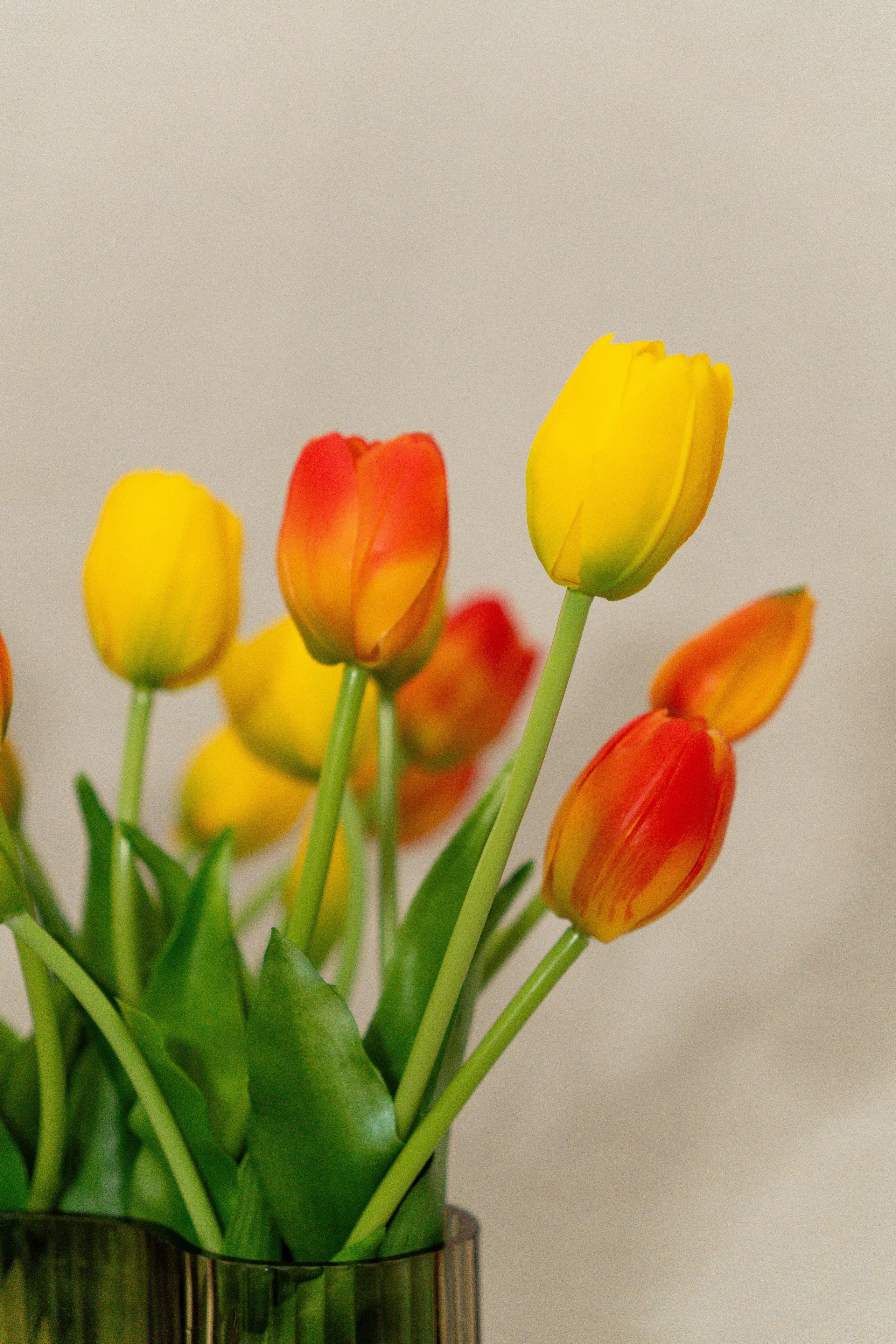 Bouquet de tulipes | Soleil