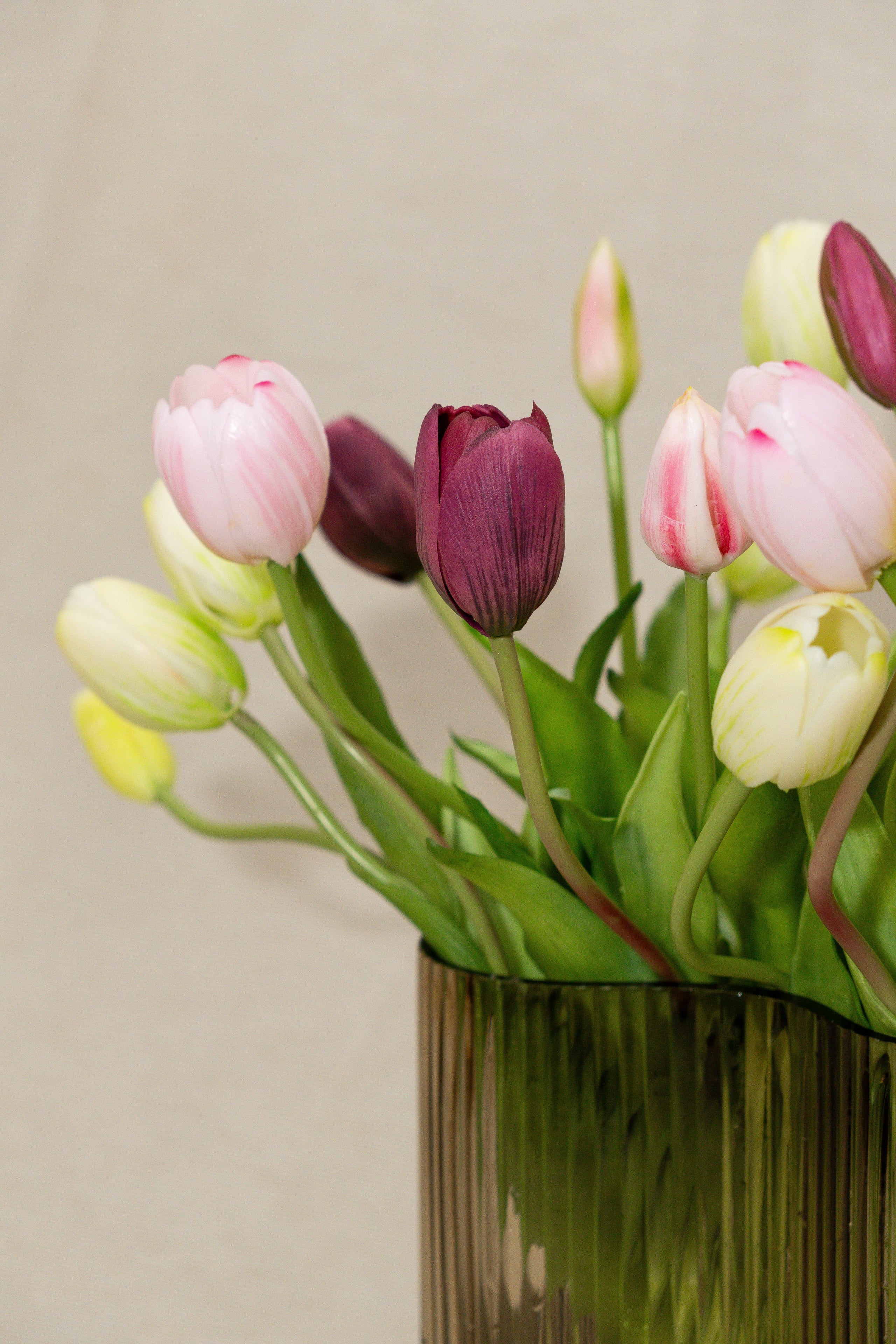Bouquet de tulipes | Temporel