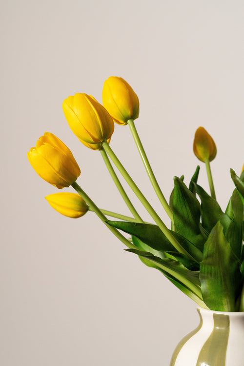 Bouquet de tulipes jaune mimosa